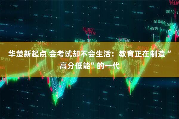 华楚新起点 会考试却不会生活：教育正在制造“高分低能”的一代