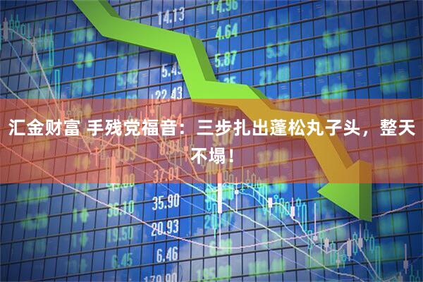 汇金财富 手残党福音:三步扎出蓬松丸子头,整天不塌!