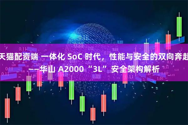 天猫配资端 一体化 SoC 时代，性能与安全的双向奔赴——华山 A2000 “3L” 安全架构解析