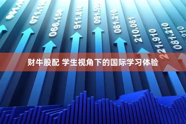 财牛股配 学生视角下的国际学习体验