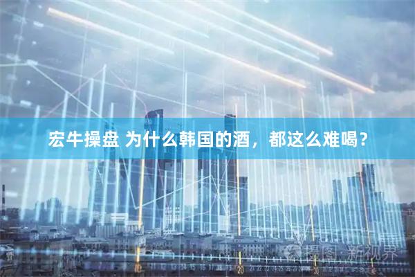 宏牛操盘 为什么韩国的酒，都这么难喝？