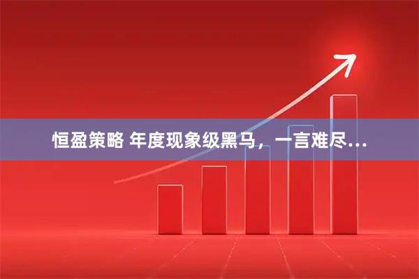 恒盈策略 年度现象级黑马，一言难尽…