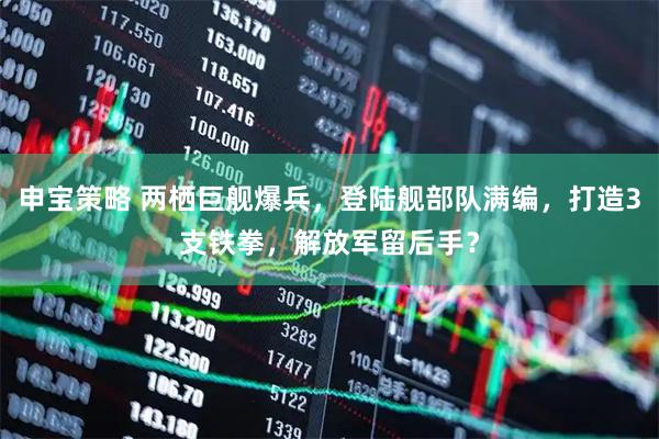 申宝策略 两栖巨舰爆兵，登陆舰部队满编，打造3支铁拳，解放军留后手？