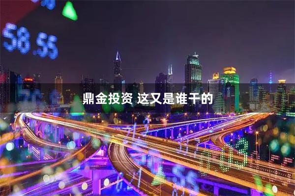 鼎金投资 这又是谁干的