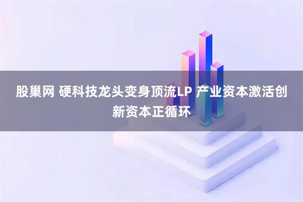 股巢网 硬科技龙头变身顶流LP 产业资本激活创新资本正循环