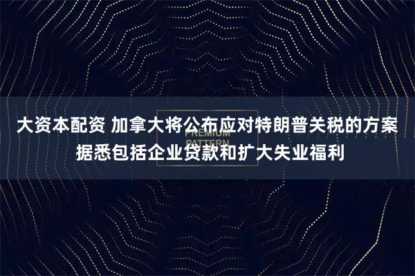 大资本配资 加拿大将公布应对特朗普关税的方案 据悉包括企业贷款和扩大失业福利